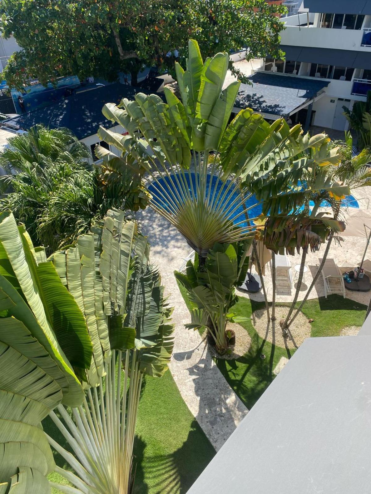New Garden Hotel Sosúa エクステリア 写真